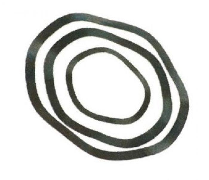compensation-rings-wescap-bv-parts-for-electric-motors